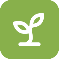 matcha money icon